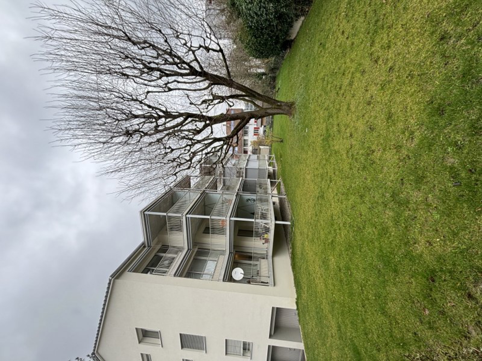IMG 3597 800X600
